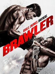 Brawler