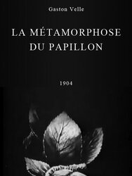 La Métamorphose du papillon