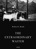 The Extraordinary Waiter