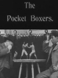 Pocket Boxers