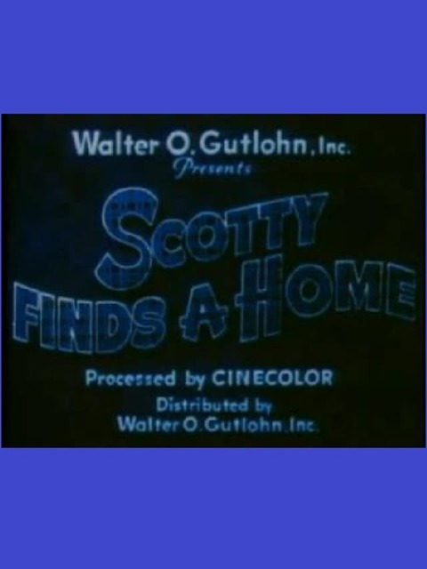 Scotty Finds a Home