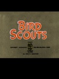 Bird Scouts