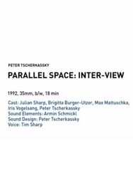 Parallel Space: Inter-View