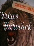 The Hurvinek Circus