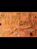 Réception à la plage de Malibu