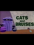 Cats and Bruises