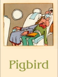 Pigbird