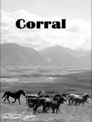 Corral