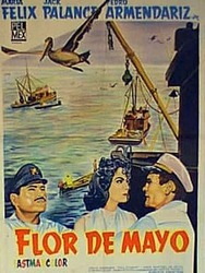 Flor de mayo