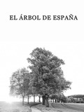 The Tree from Spain