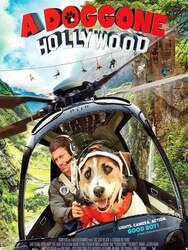 A Doggone Hollywood