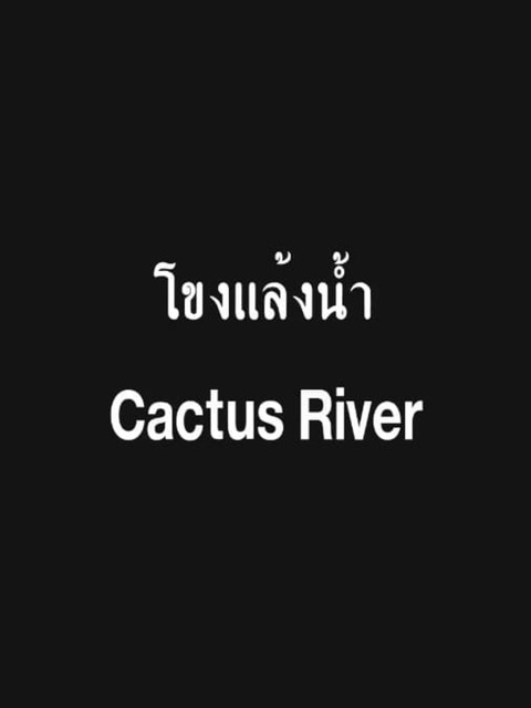 Cactus River