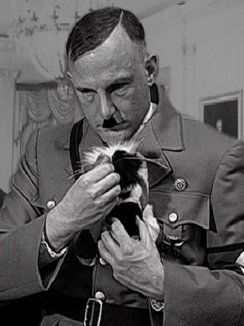 A Kitten For Hitler