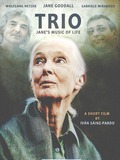 Trio. Jane's Music of Life