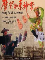 Kung Fu Vs. Acrobatic