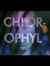 Chlorophyl
