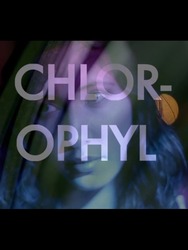 Chlorophyl