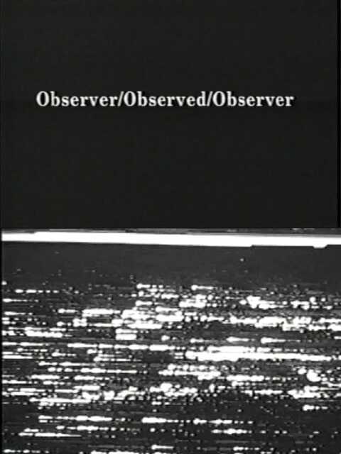 Observer / Observed / Observer