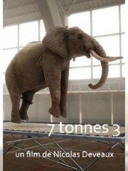 7 Tonnes 3