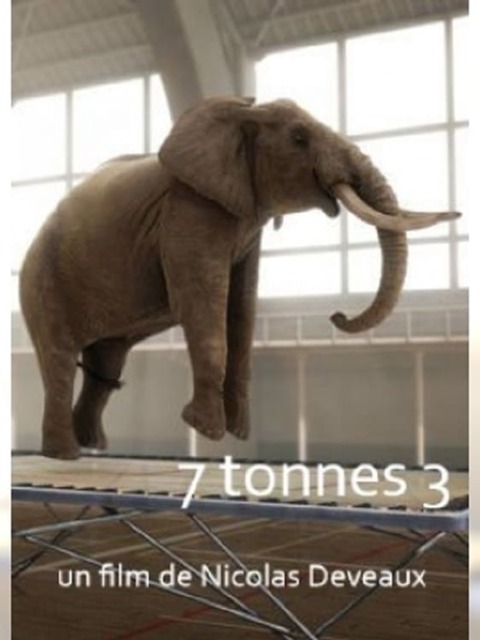 7 Tonnes 3