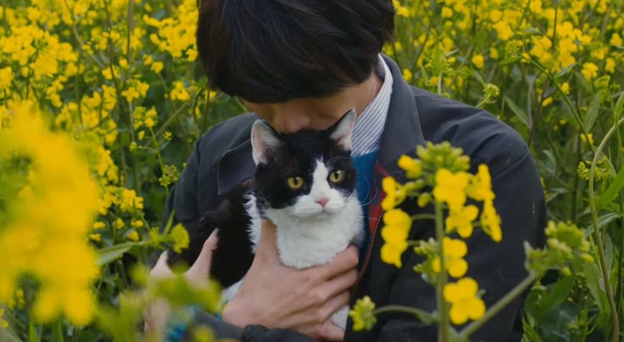 Profil : Les mémoires d'un chat d'Hiro Arikawa.