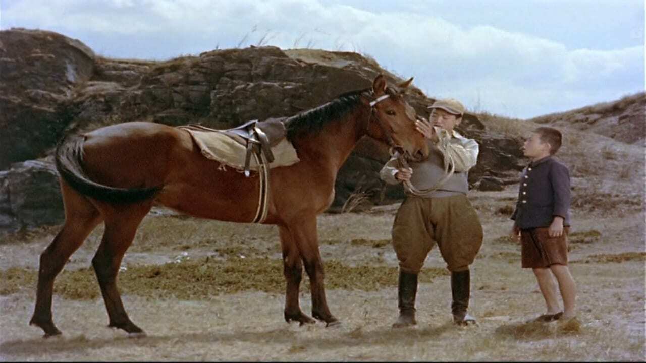 Le cheval et l'enfant