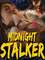 Midnight Stalker