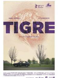 Tigre