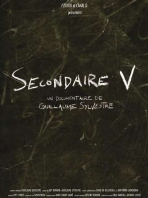 Secondaire V