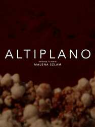 Altiplano