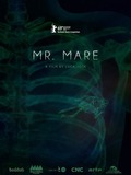 Mr. Mare