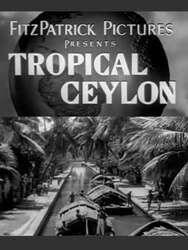 Tropical Ceylon