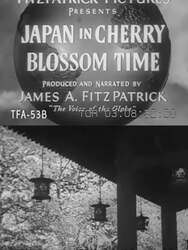 Japan in Cherry Blossom Time