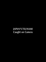 Japan's Tsunami : Caught on Camera