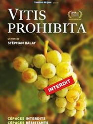 Vitis Prohibita