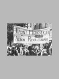 Le F.H.A.R. (Front Homosexuel d’Action Révolutionnaire)
