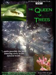 The Queen of Trees