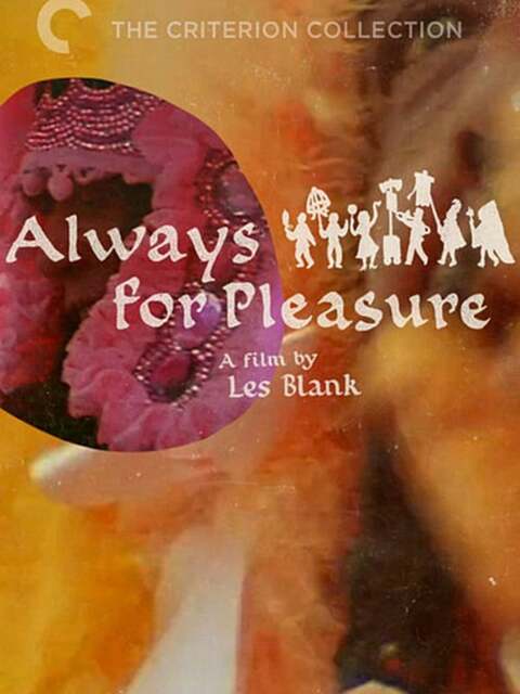 Always for Pleasure