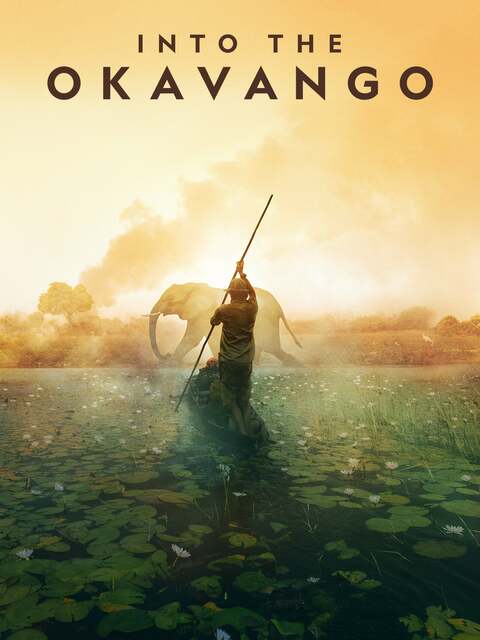Au cœur de l'Okavango