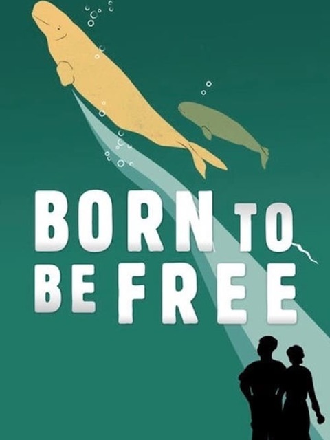 Born to Be Free