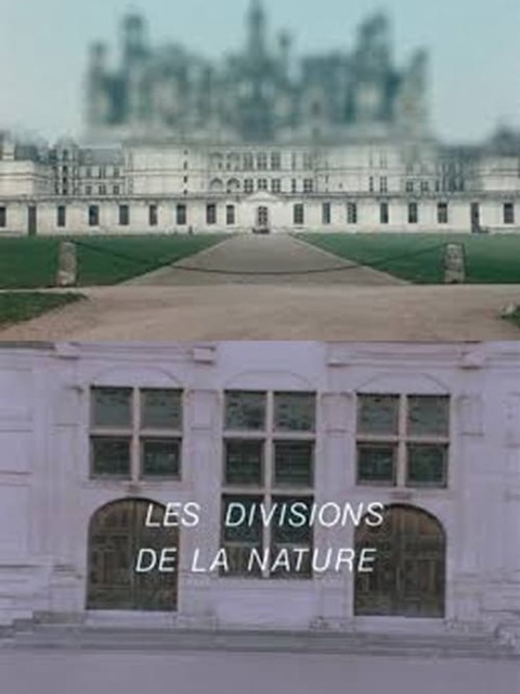 Les divisions de la nature : Quatre regards sur le château de Chambord