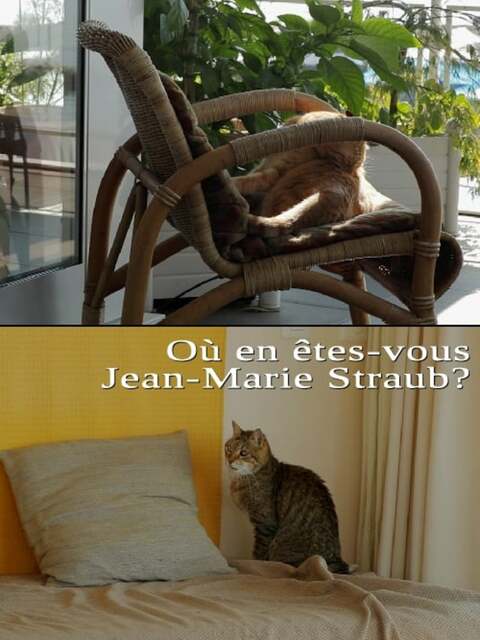 Où en êtes-vous, Jean-Marie Straub ?
