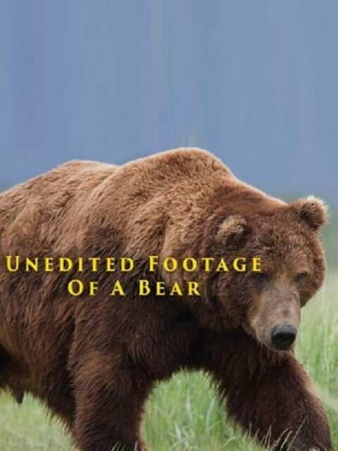 Unedited Footage of a Bear