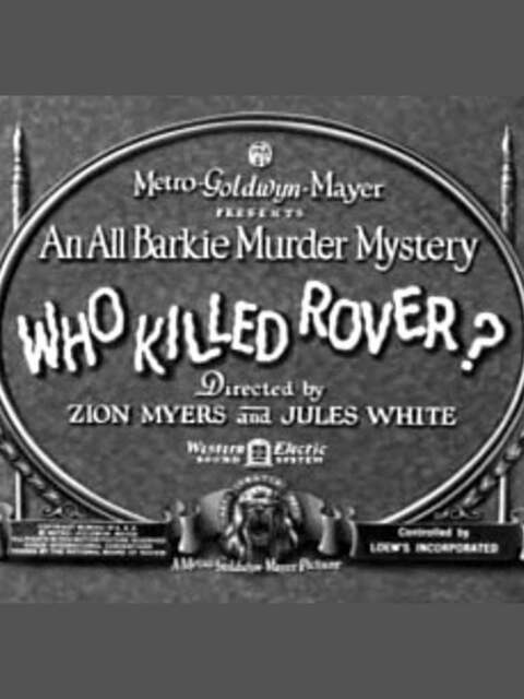 Who Killed Rover?