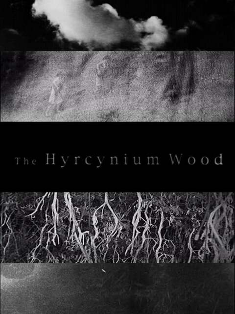 The Hyrcynium Wood