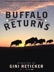 Buffalo Returns