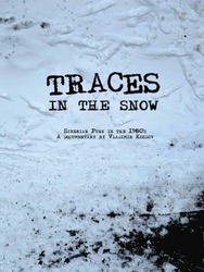 Traces in the Snow