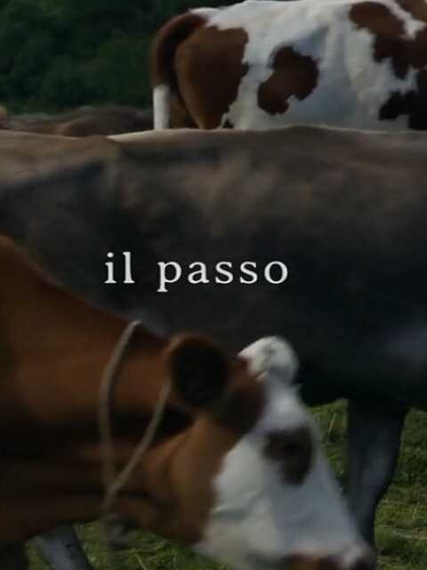 Il passo