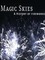 Magic Skies: A History of the Art of Fireworks