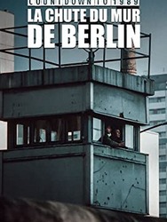 La chute du mur de Berlin